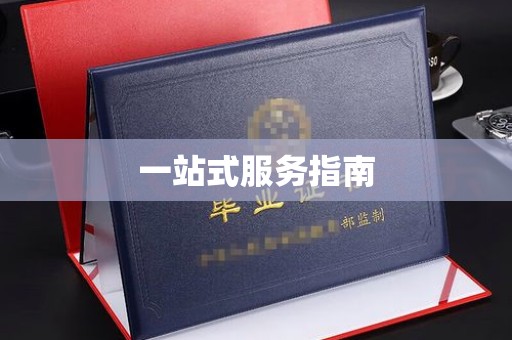 庄浪一站式服务指南