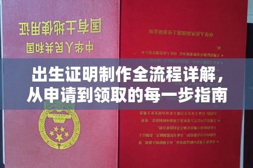 庄浪出生证明制作全流程详解，从申请到领取的每一步指南