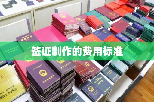 庄浪签证制作的费用标准