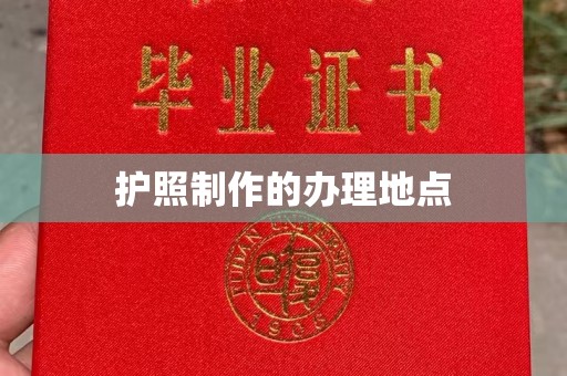 庄浪护照制作的办理地点